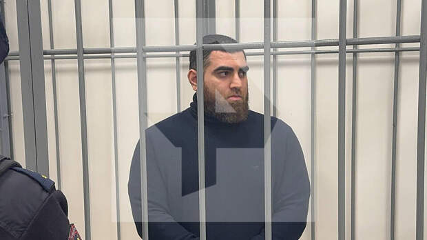 Блогеру Маркаряну дали 4,5 года колонии