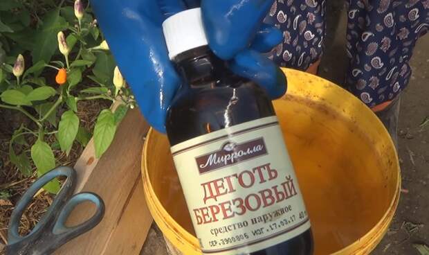 обработка клубники от болезней весной