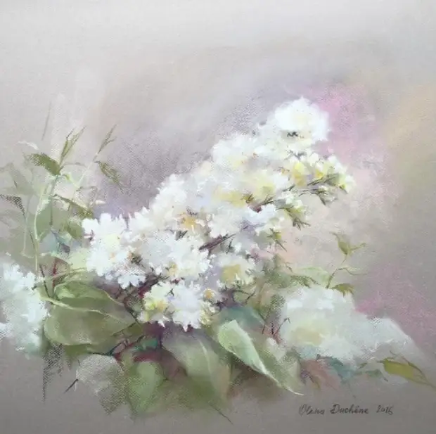 �������� Olena Duchene (����� �����) ������� � 23