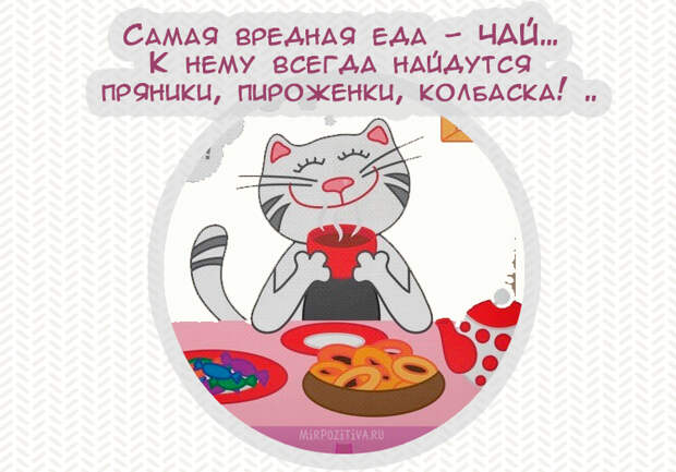 Самая веселая подборка прикольных картинок