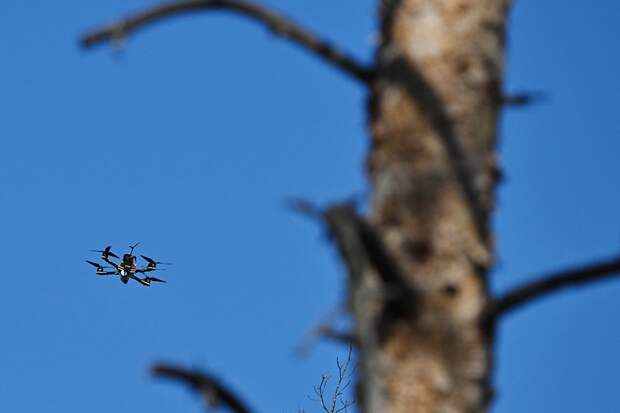 Российские операторы FPV-дронов применяют таран для борьбы с тяжелыми БПЛА ВСУ