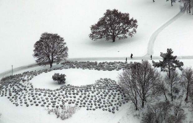 Зимний Олимпийский парк после снегопада в Мюнхене, Германия