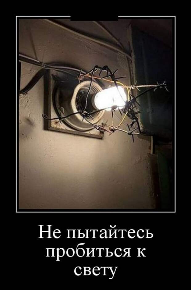 30 демотиваторов в среду