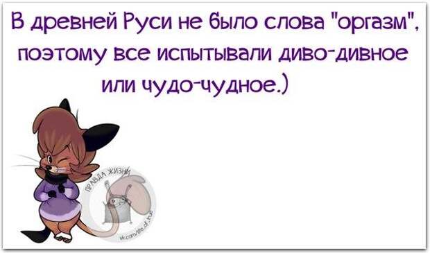 Прикольные фразочки в картинках