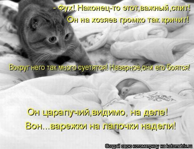 Мысли вслух :)