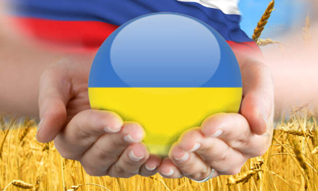 соловьев1