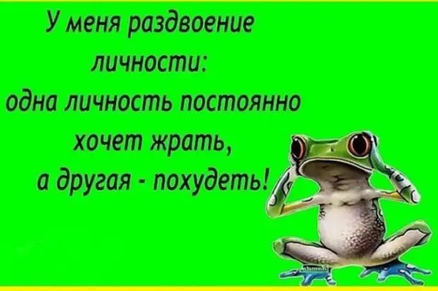 Только что по "Первому каналу" показали, как варить еловые шишки...