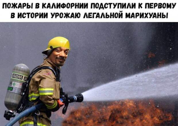 Нестандартный юмор :)