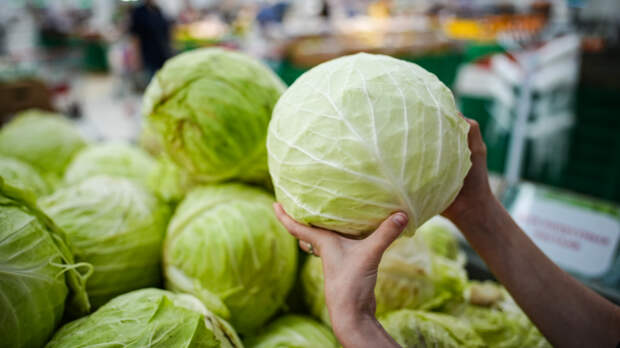 Крепкие кочаны: садовод назвала сроки посева капусты на рассаду в 2026 году