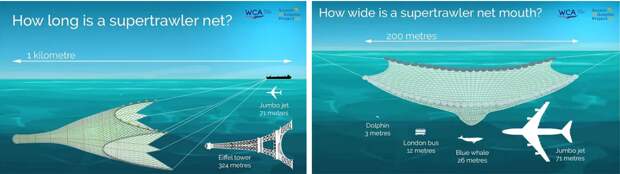 Масштабы  рыбалки супертраулера в море