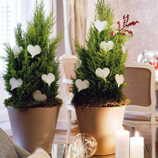 home-flowers-in-new-year-decorating4-8 (600x600, 132Kb)