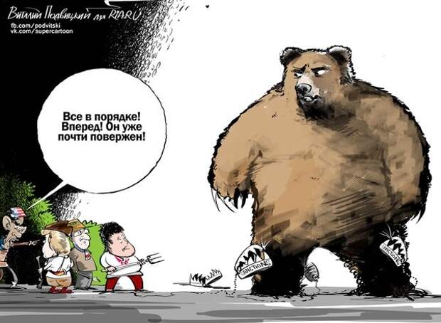 Пожалейте своих псов, куда им до медведя