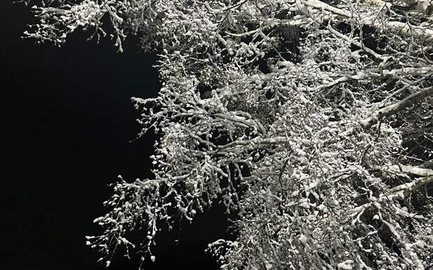 В Рязанской области ненадолго потеплеет до -2°С