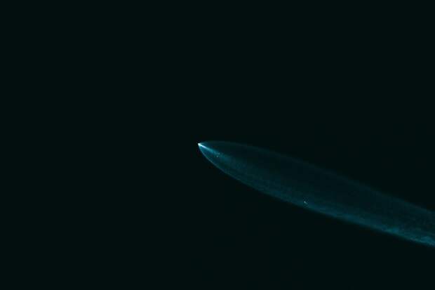 SpaceX запустила ракету Falcon 9 с грузовиком Cygnus XL к МКС