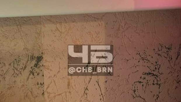 Плесень на стенах / Фото: