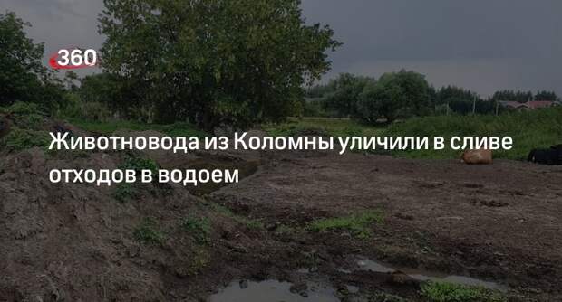 Животновода из Коломны уличили в сливе отходов в водоем