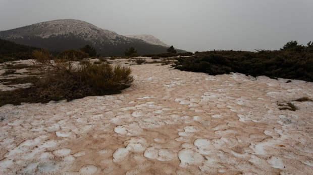 Климатолог Юлкин рассказал о последствиях выпадения снега в Сахаре