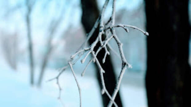 Погода, зима в Алтайском крае / Фото: Екатерина Смолихина / amic.ru