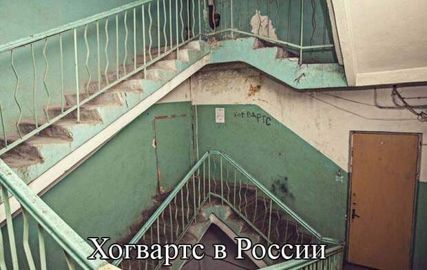 Смешные картинки картинки, подборка, смешные, фото