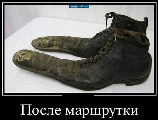 Веселые “маршрутки”