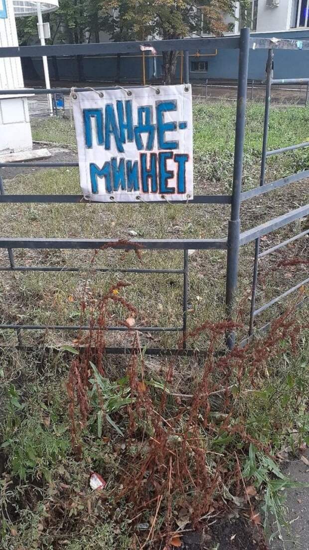 Сначала возмущение, потом недоумение