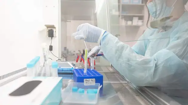 В РФ разработали реактивы для определения видов коронавируса