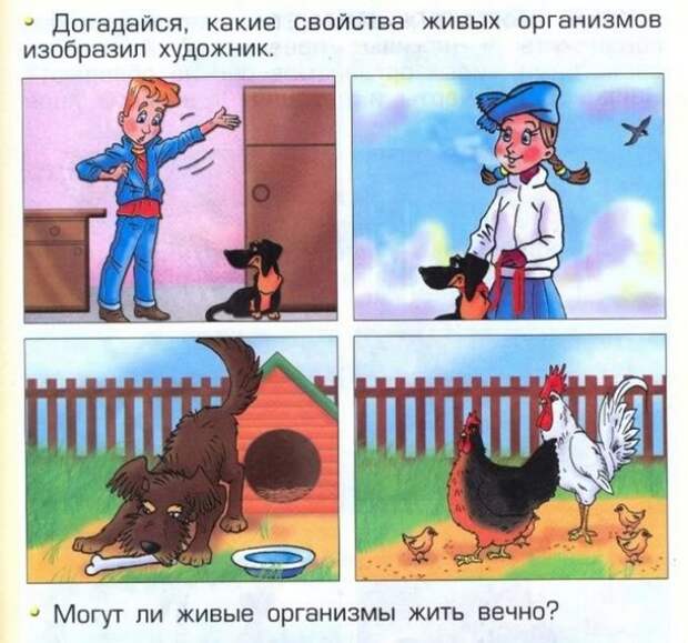 учебники