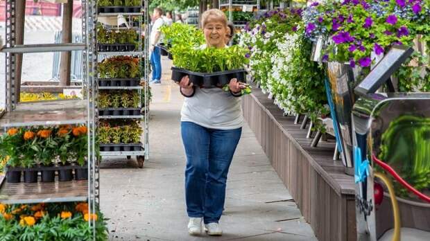 «Субботник поколений» пройдет в центрах московского долголетия в апреле