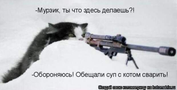 Котоматрицы(картинки с надписями)