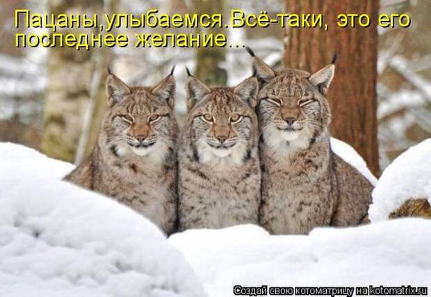 Мысли вслух :)
