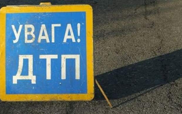 Под Житомиром лось устроил тройное ДТП: погиб нацгвардеец