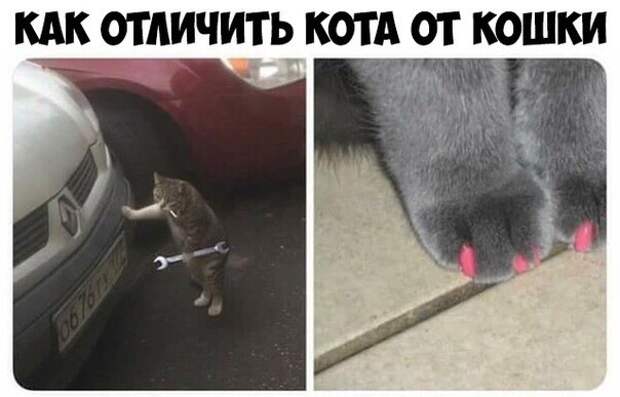Ничего сложного Ничего сложного