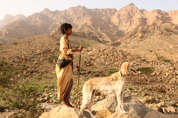 Фестиваль «Дух огня» объявил участников конкурсной программы «Твое кино»