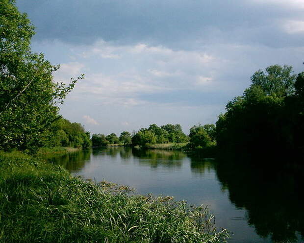 Река Рось возле Сухолесы может и вовсе пересохнуть, как и многие другие.