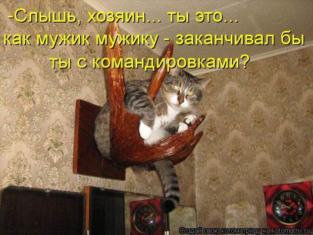 1360139877_4 (700x525, 78Kb)