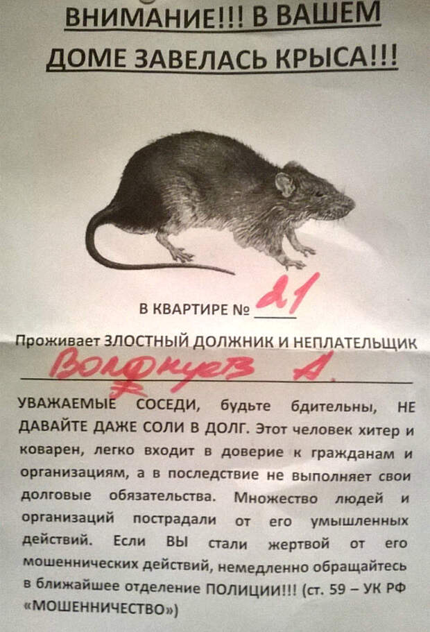 Хитрая и коварная крыса. Хитрая и коварная крыса.