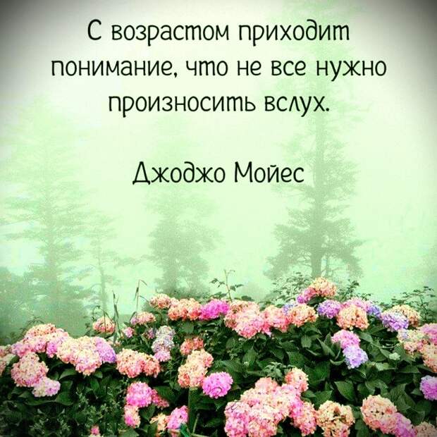 Цитаты в картинках, которые стоит запомнить