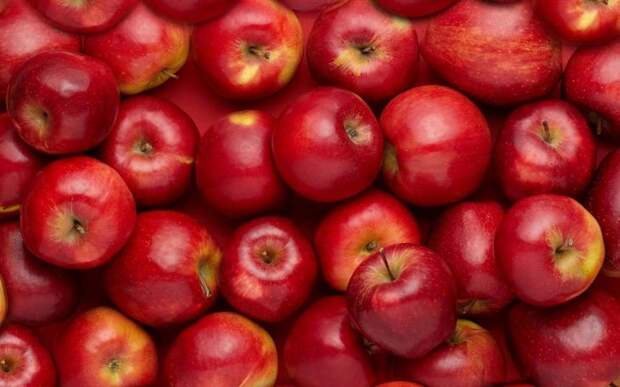 Разгонись по полной или 12 продуктов для ускорения обмена веществ ускорение обмена веществ, продукты для ускорения обмена веществ