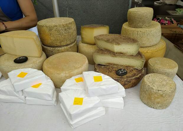 Сыр лучше транквилизаторов: ученые из Петербурга открыли новые свойства известной диеты