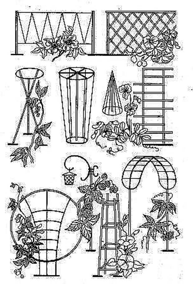 Схемы садовых. Чертежи шпалер для вьющихся растений. Опора для плетистых растений своими руками. Опора для плетущейся розы своими руками. Каркас для плетистых растений.