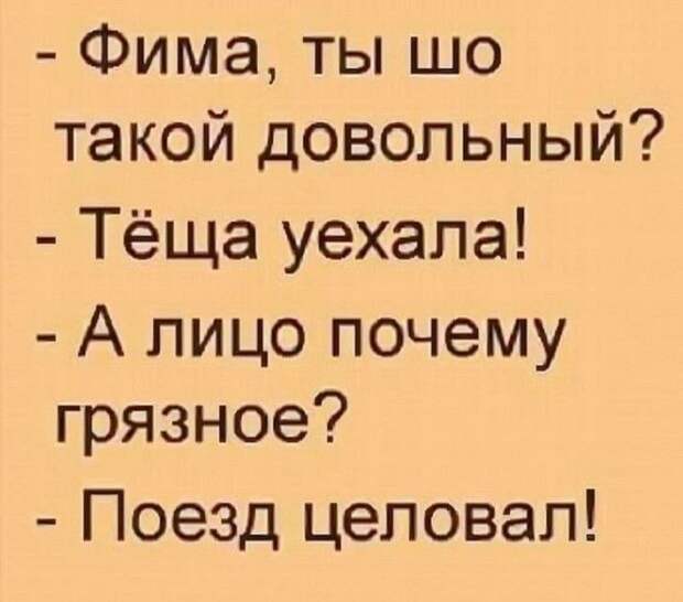 15 искрометных и очень жизненных шуток для прекрасного настроения!
