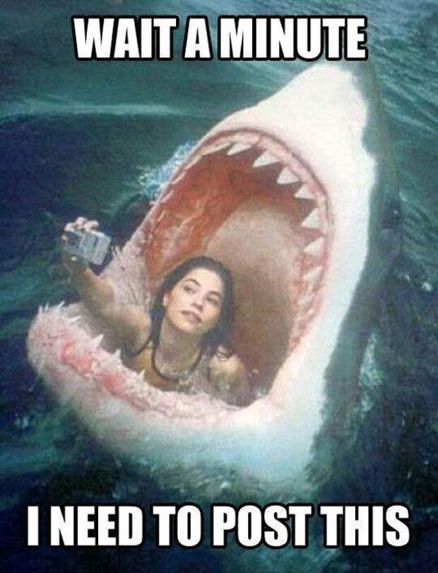 00Selfy (535x700, 63Kb)