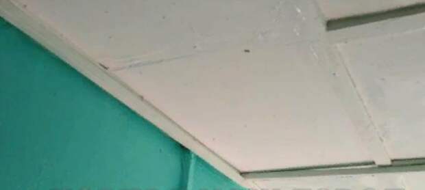 Крыша потолка больше не подтекает у жильцов дома на Грайвороновской