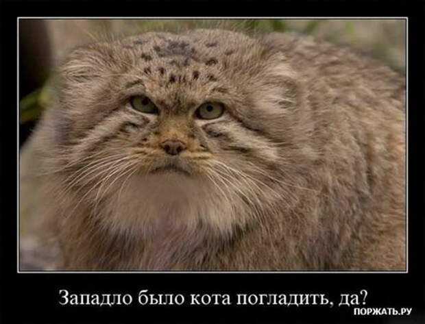Картинки Прикольные :) (24)