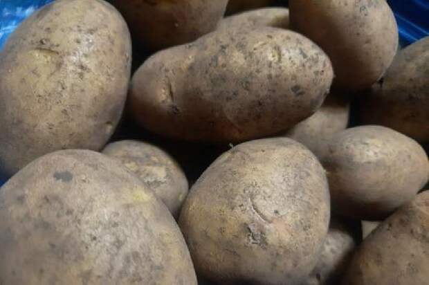Врач рассказал, сколько картофеля можно съедать в день