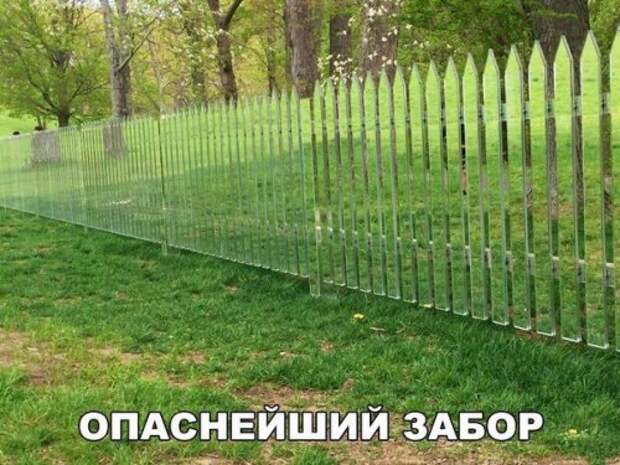 Пятничные анекдоты (15 шт)