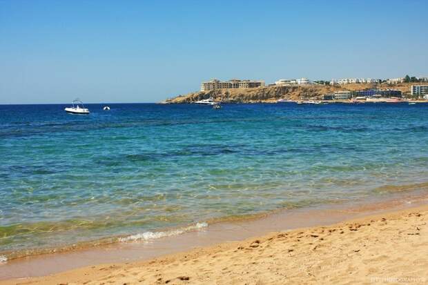 redsea02 Фотография: 10 фактов о Красном море №2 - BigPicture.ru
