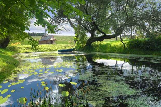 1340611592_9025a0402e7e (700x466, 115Kb)