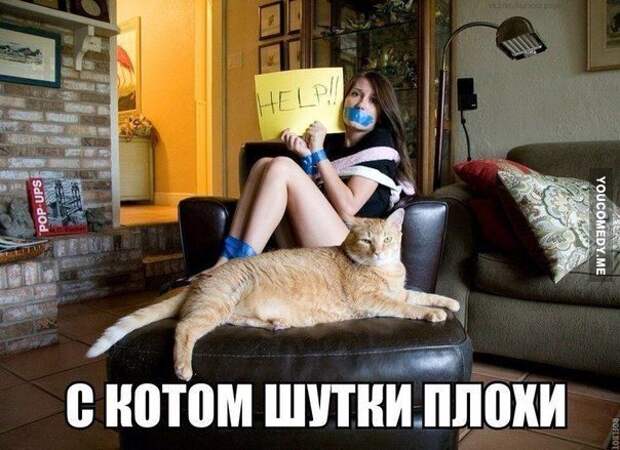 Картинки с забавными подписями