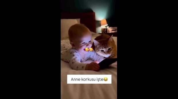 Video: Клип @donetskdnr_vk